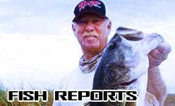 Tom Mann Jr. - Lake Okeechobee Bass Guide powered by Pro Sites Unlimited